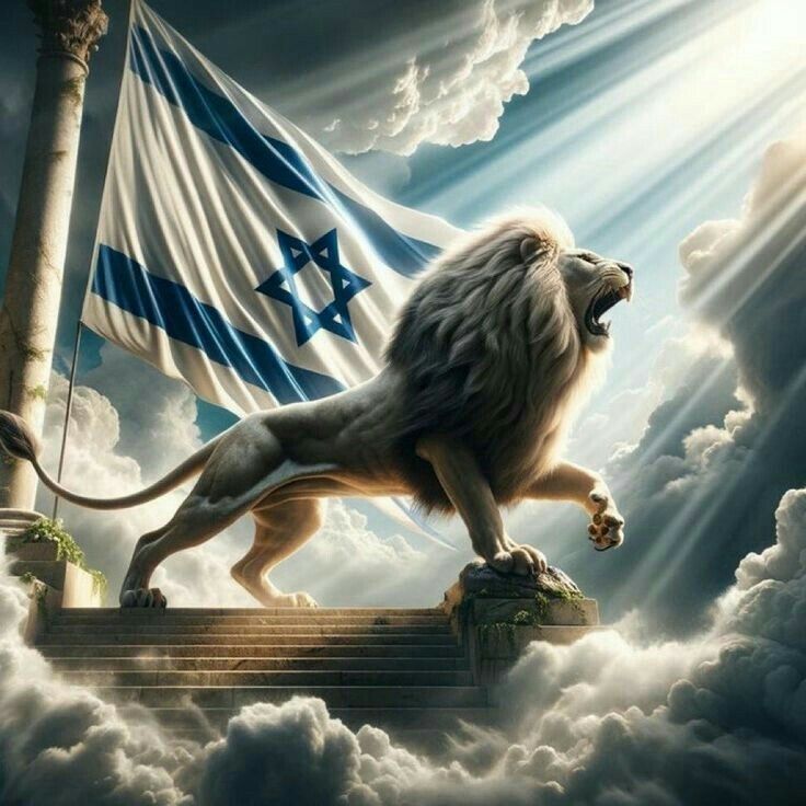 סט מבצע שאגת הארי די ג'יי אבי שמי 2026